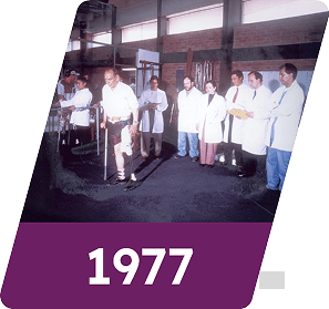 > Brindamos rehabilitación integral